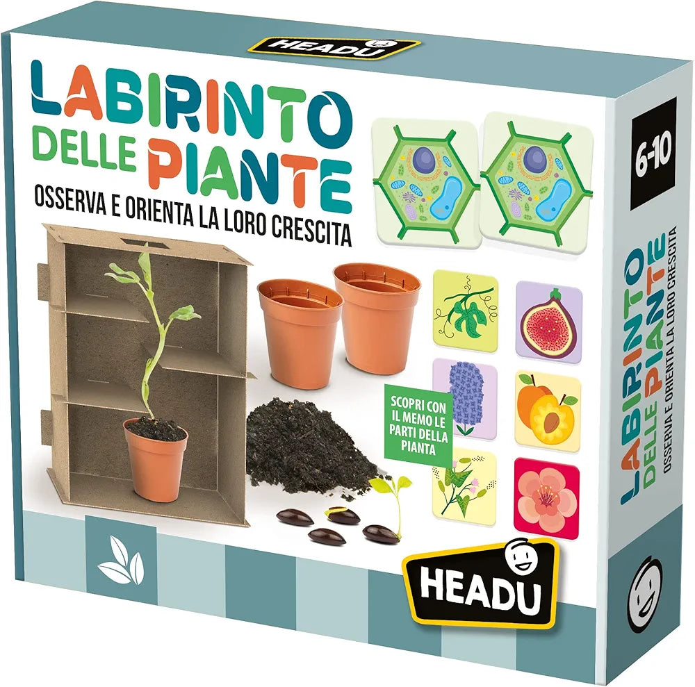 Headu Labirinto Delle Piante Come Orientare La Crescita Delle Piante